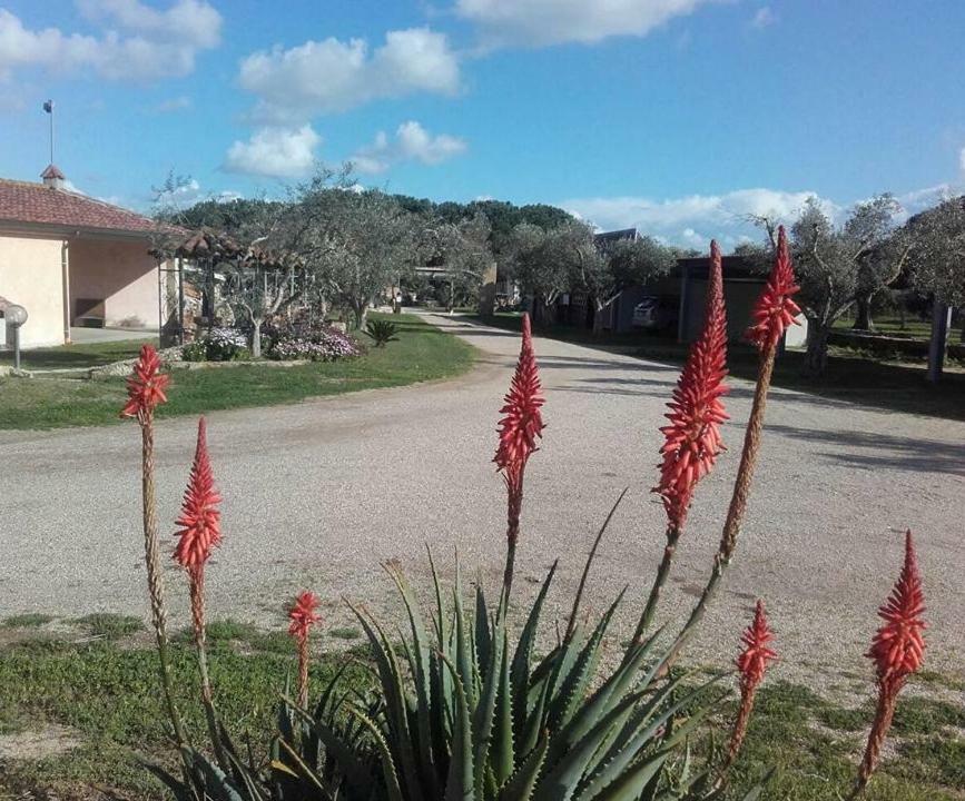 Agriturismo Sa Ruda Càbras Esterno foto