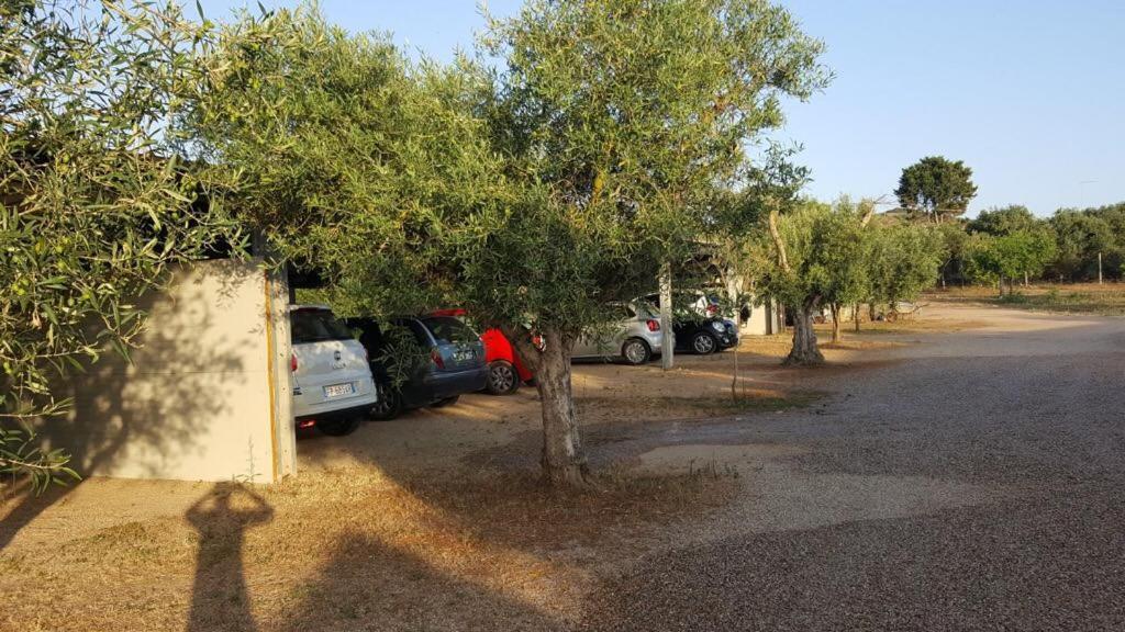 Agriturismo Sa Ruda Càbras Esterno foto
